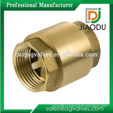 Female Threaded Brass Water Spring Vertical Type Check Valve Forged